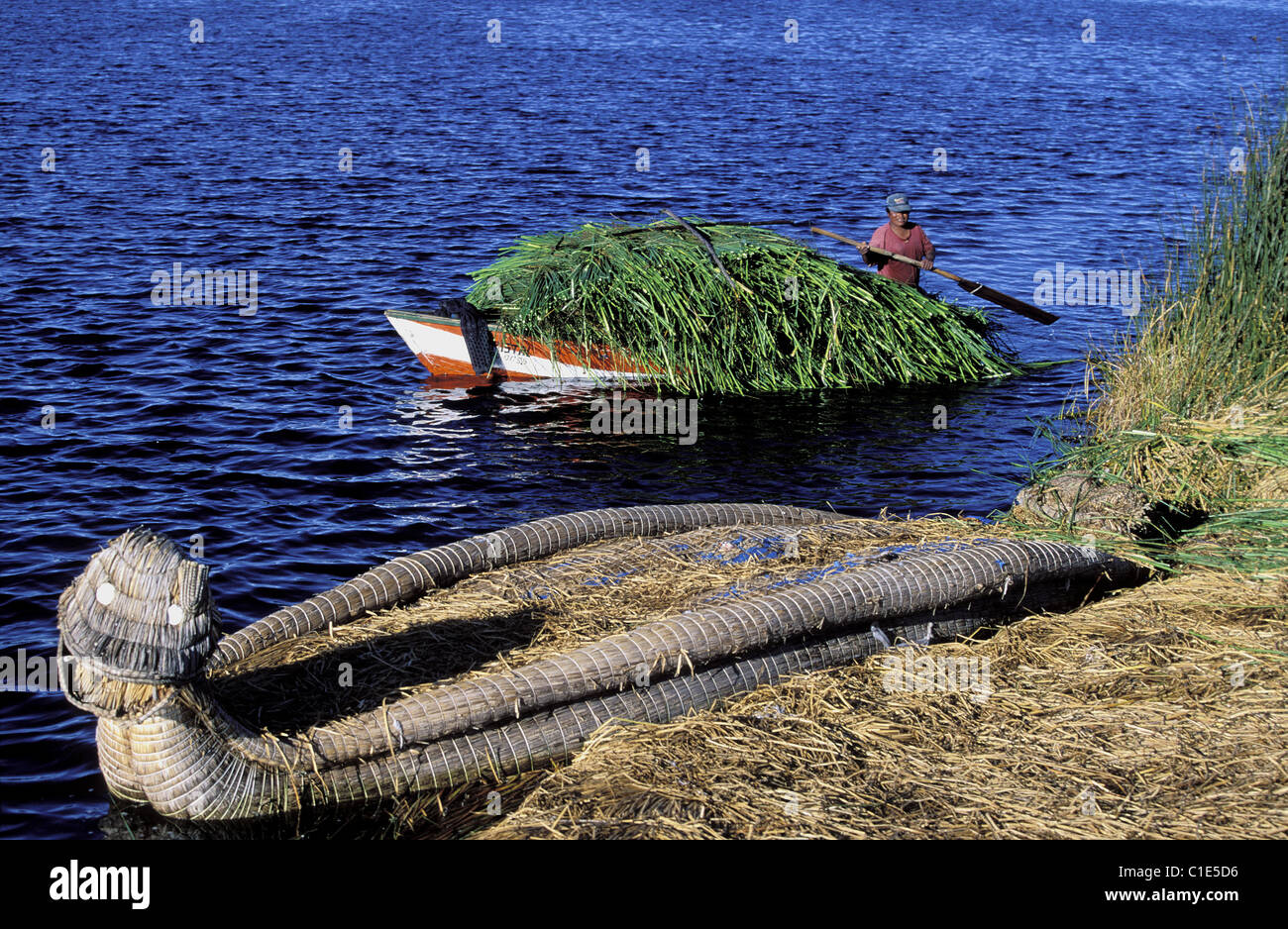 Pérou, département de Puno, au lac Titicaca, Uros Indiens vivant sur des îles flottantes faites avec reed Banque D'Images