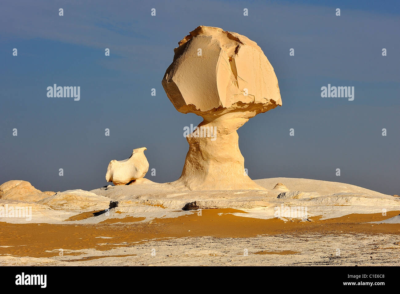 Formes de champignons et de poulet dans le désert blanc, dans l'ouest de l'Égypte Banque D'Images