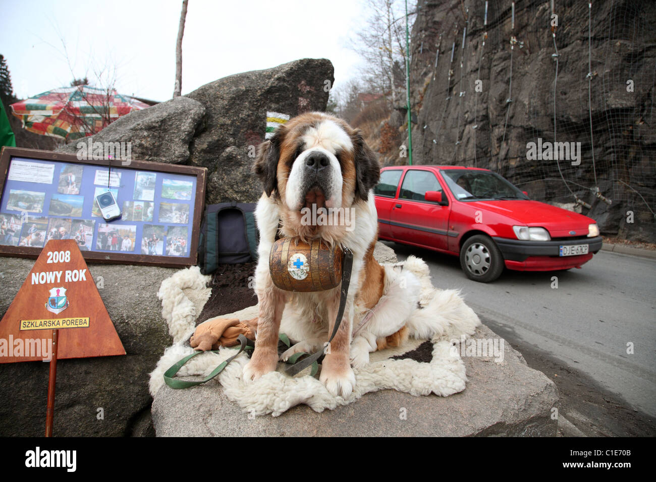 Poser chien, Szklarska Poreba, Pologne Banque D'Images