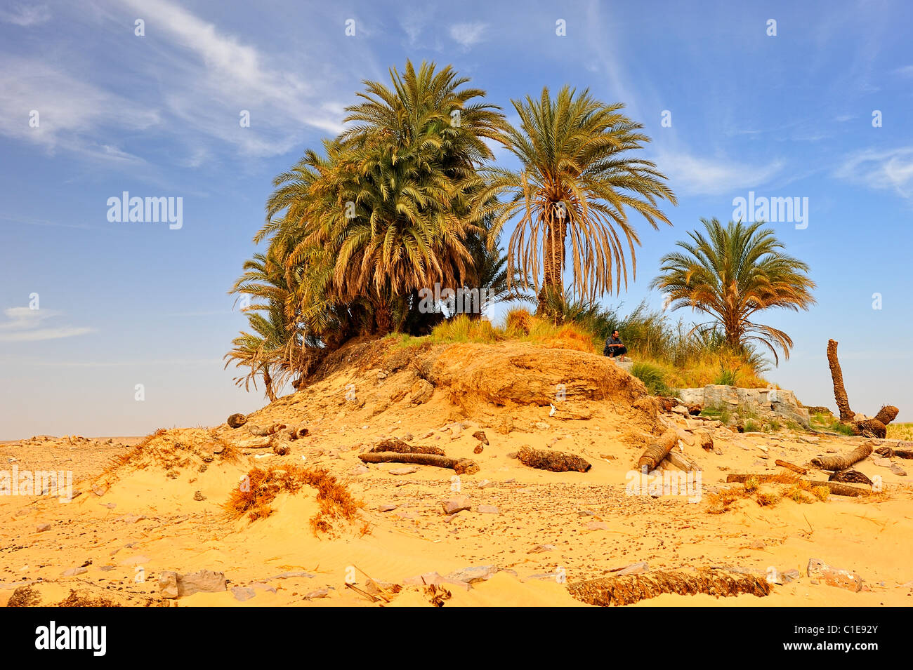Oasis de palmiers dans le désert blanc, le parc national de l'Égypte Banque D'Images