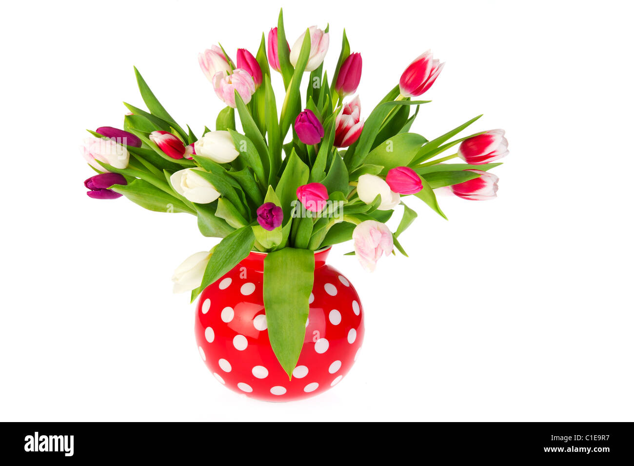 Bouquet de tulipes colorées en rouge vase Banque D'Images