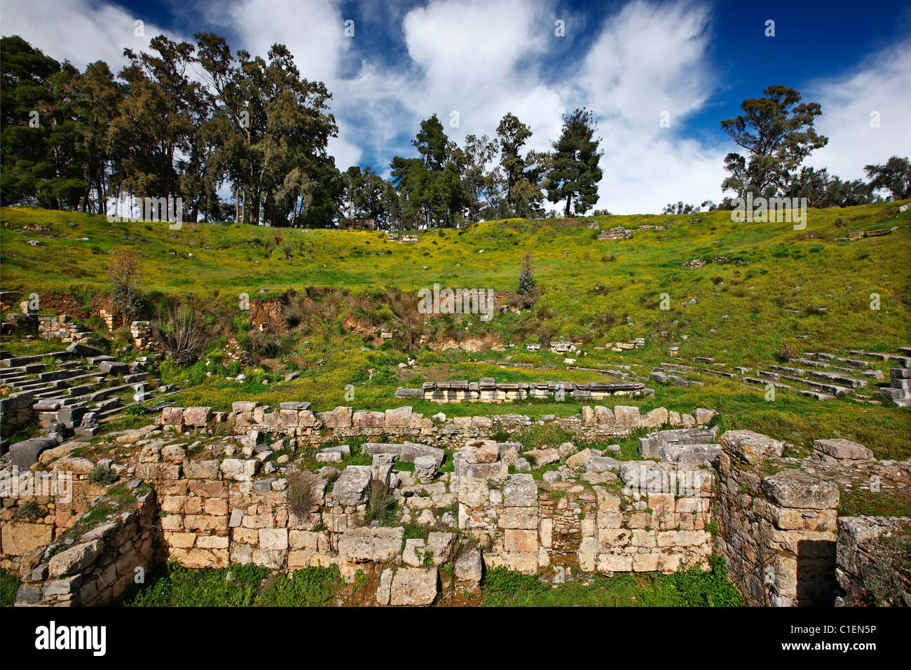 Sparte Banque de photographies et d’images à haute résolution Alamy