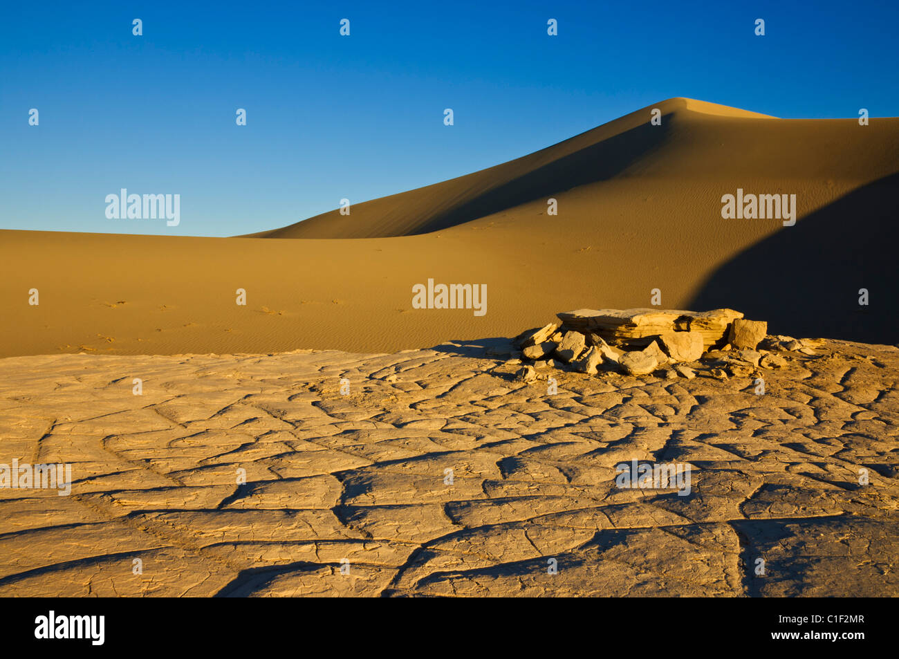 Les ondulations du sable dans les dunes de l'Appartements Mesquite sand dunes, Stovepipe Wells, Death Valley National Park, California, USA Banque D'Images