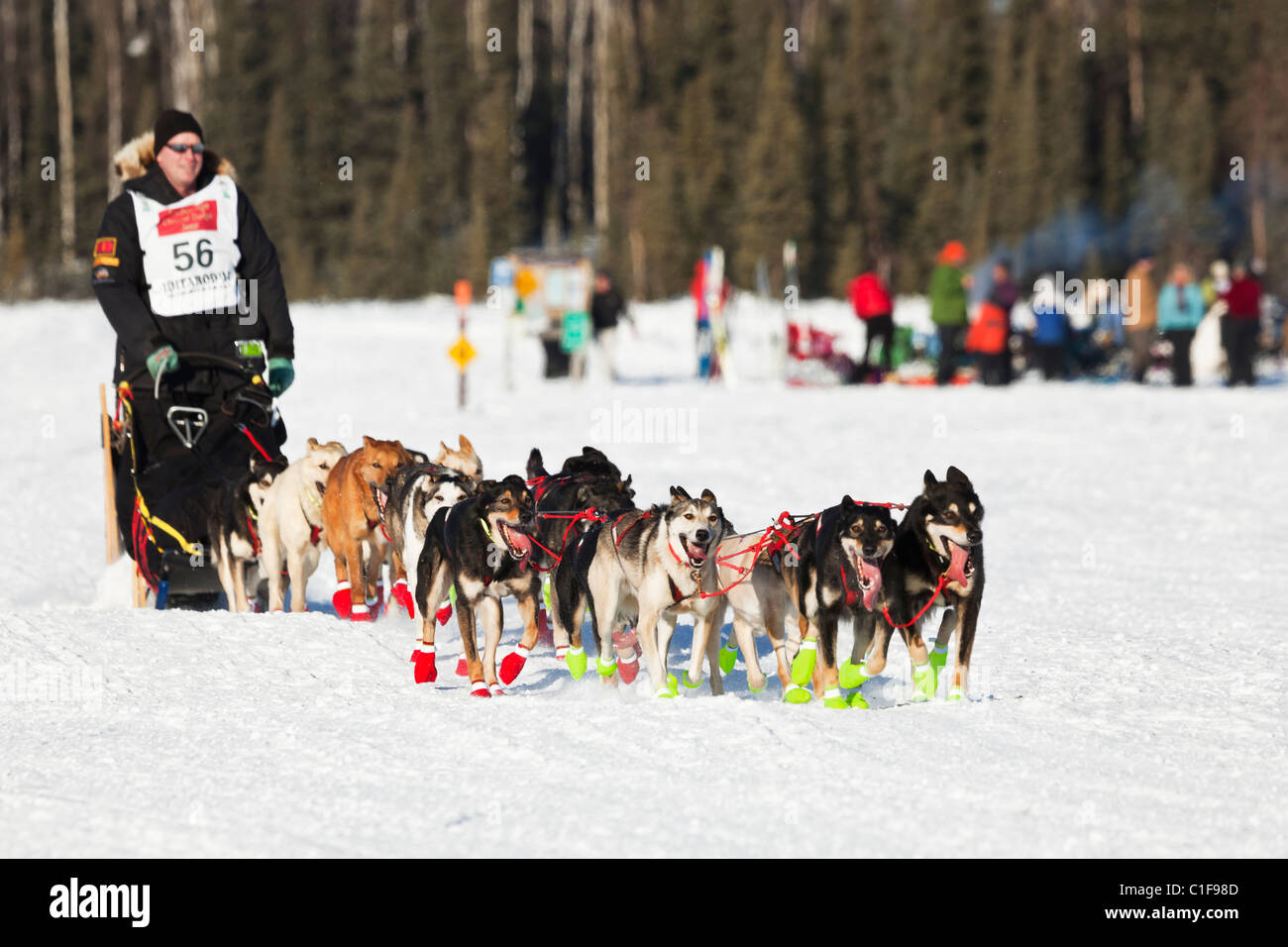 Musher Ed Stielstra en compétition dans la 39e Iditarod Trail Sled Dog Race sur le lac Long après son départ de Willow Lake redémarrer. Banque D'Images