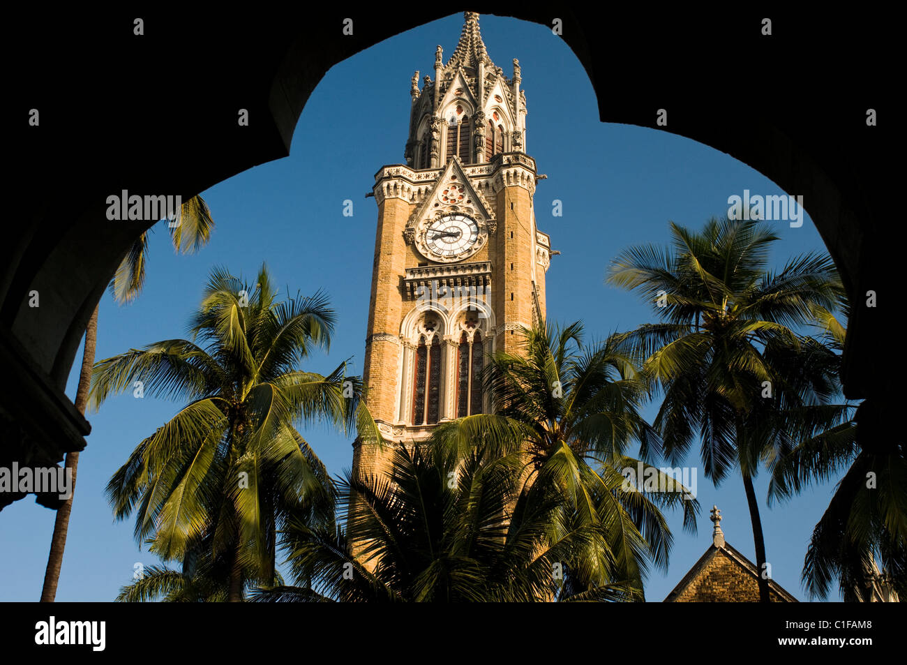 Tour de l'horloge de Rajabai, Université de Mumbai, Mumbai, Inde Banque D'Images