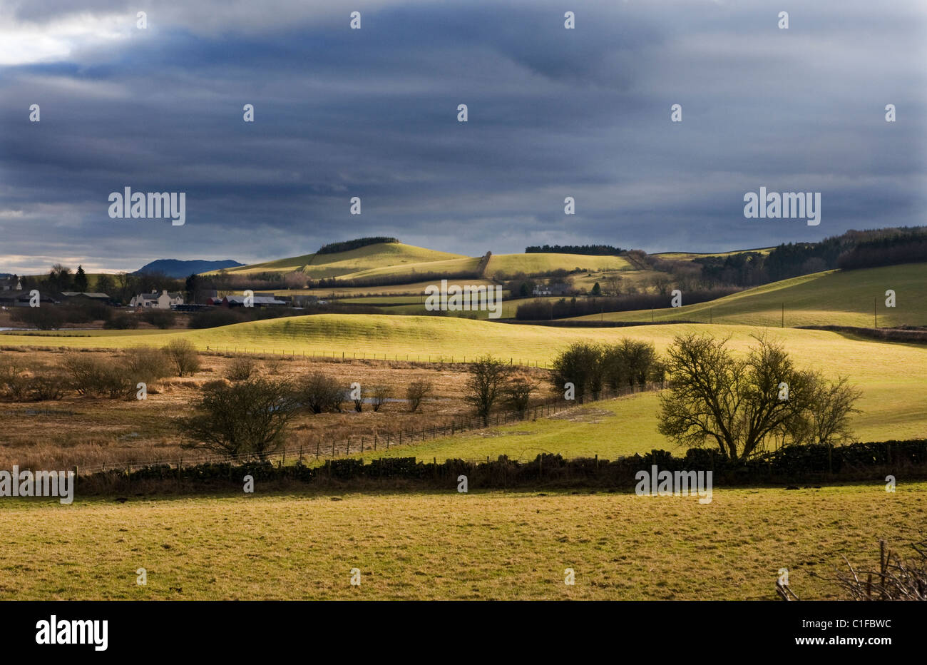 Terres agricoles autour des marais ken-dee, Ecosse Banque D'Images