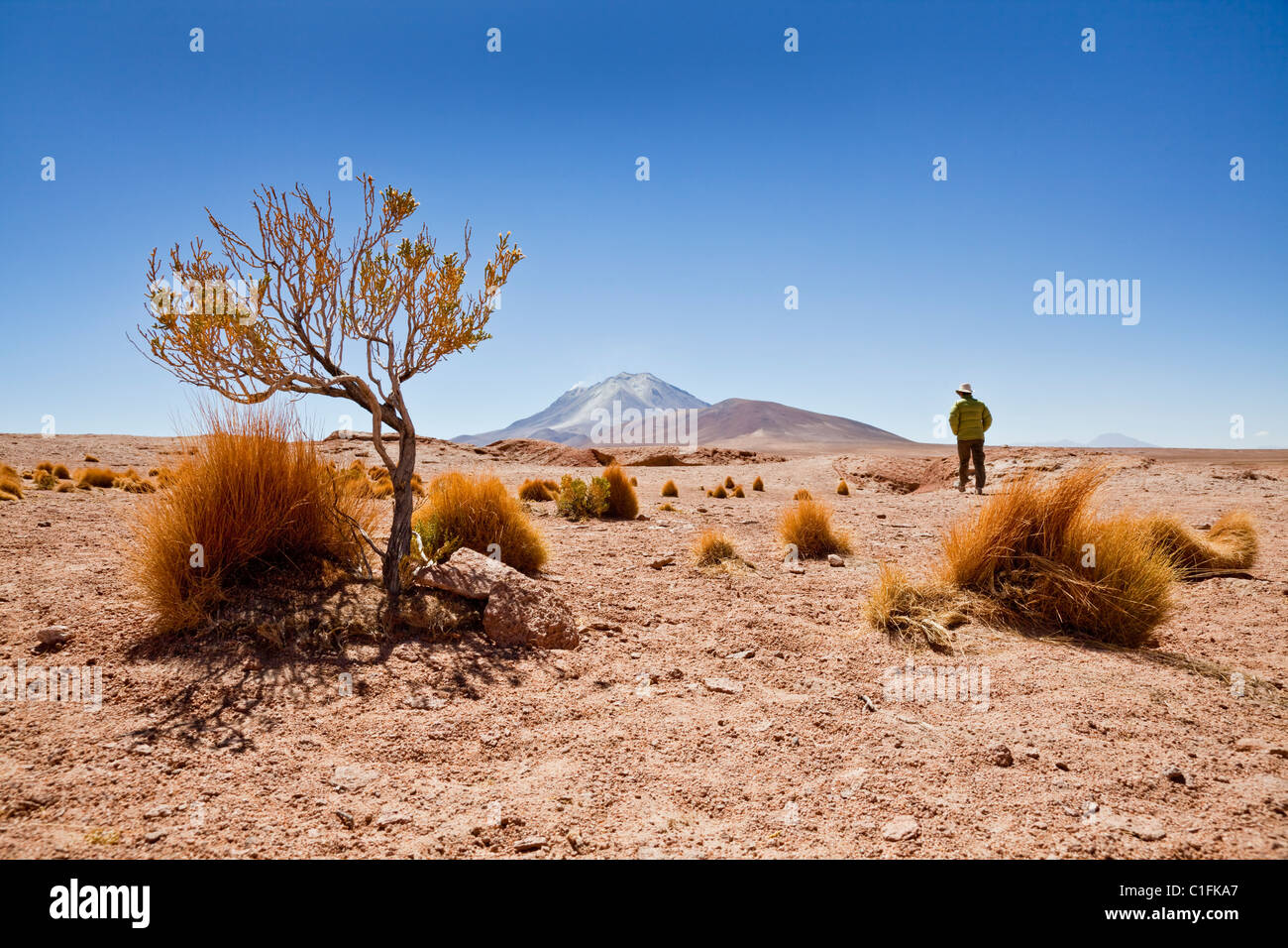 Paysage désertique avec vue Volcan Ollagüe, dans le sud-ouest de la Bolivie, l'Amérique du Sud. Banque D'Images