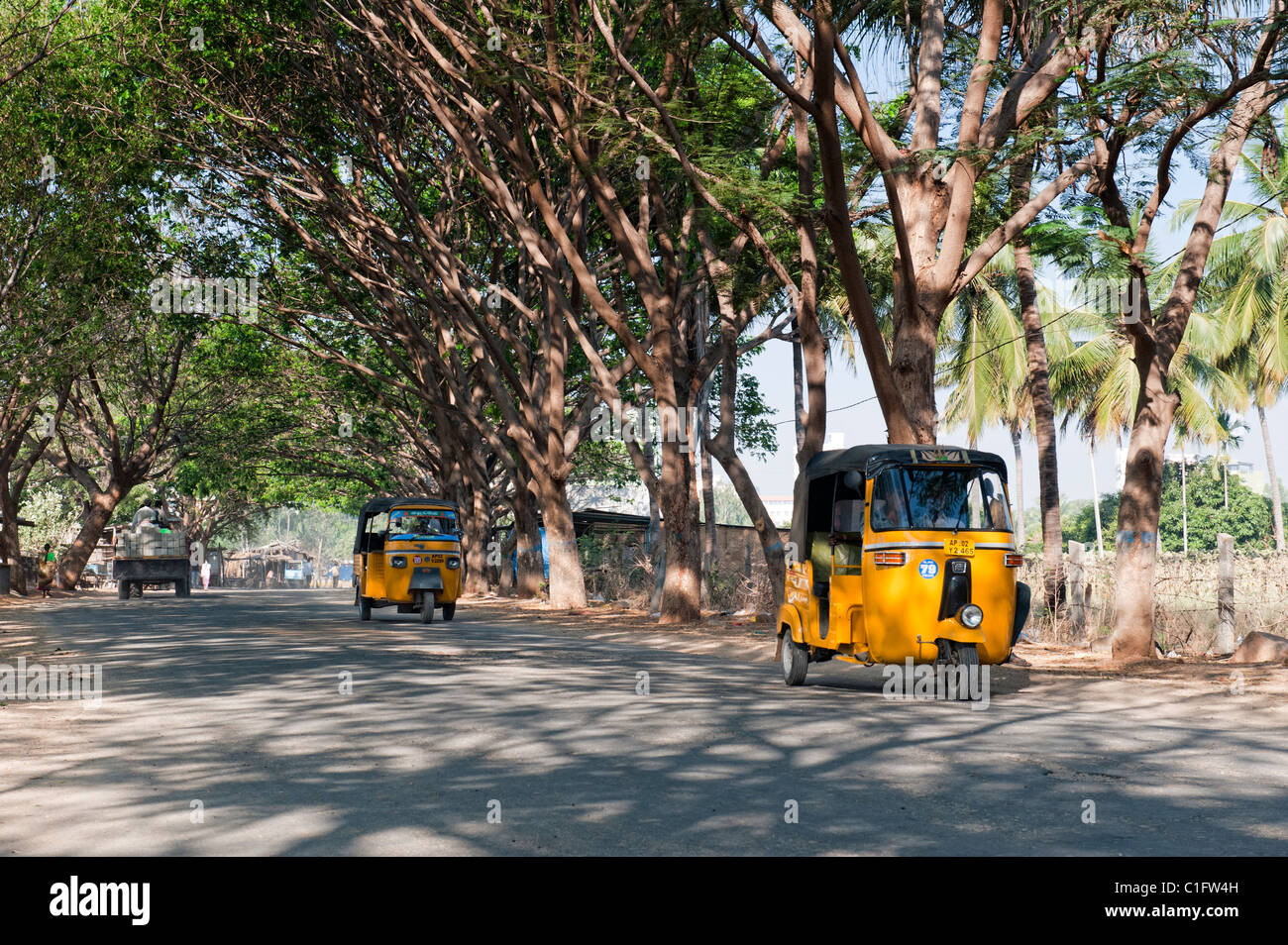 Auto rickshaw indien voyageant le long d'une route bordée d'arbres. L'Andhra Pradesh, Inde Banque D'Images