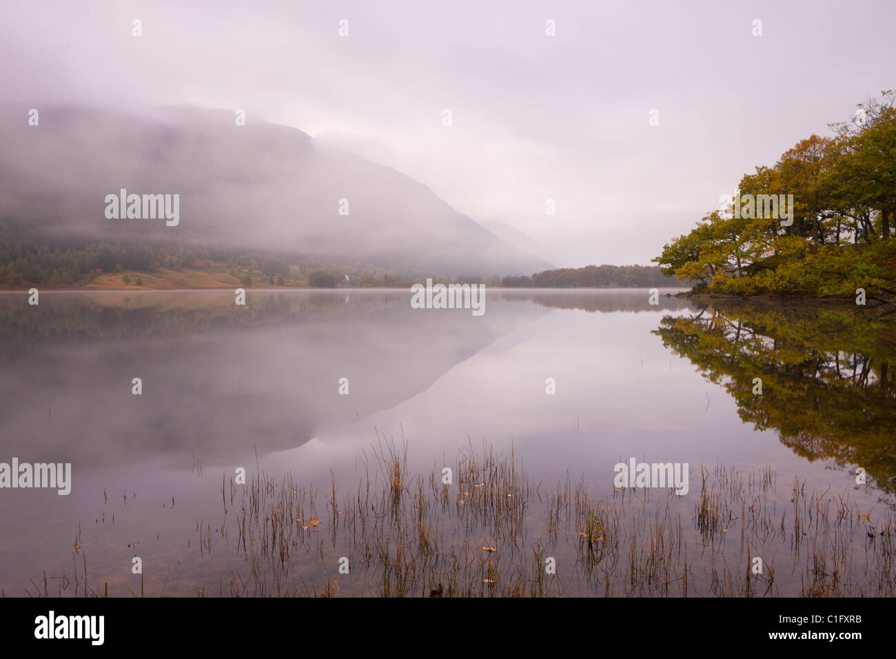 Scènes d'automne à côté d'un misty à Loch voilà dans la vallée de Balquhidder, Loch Lomond et les Trossachs National Park, Ecosse Banque D'Images