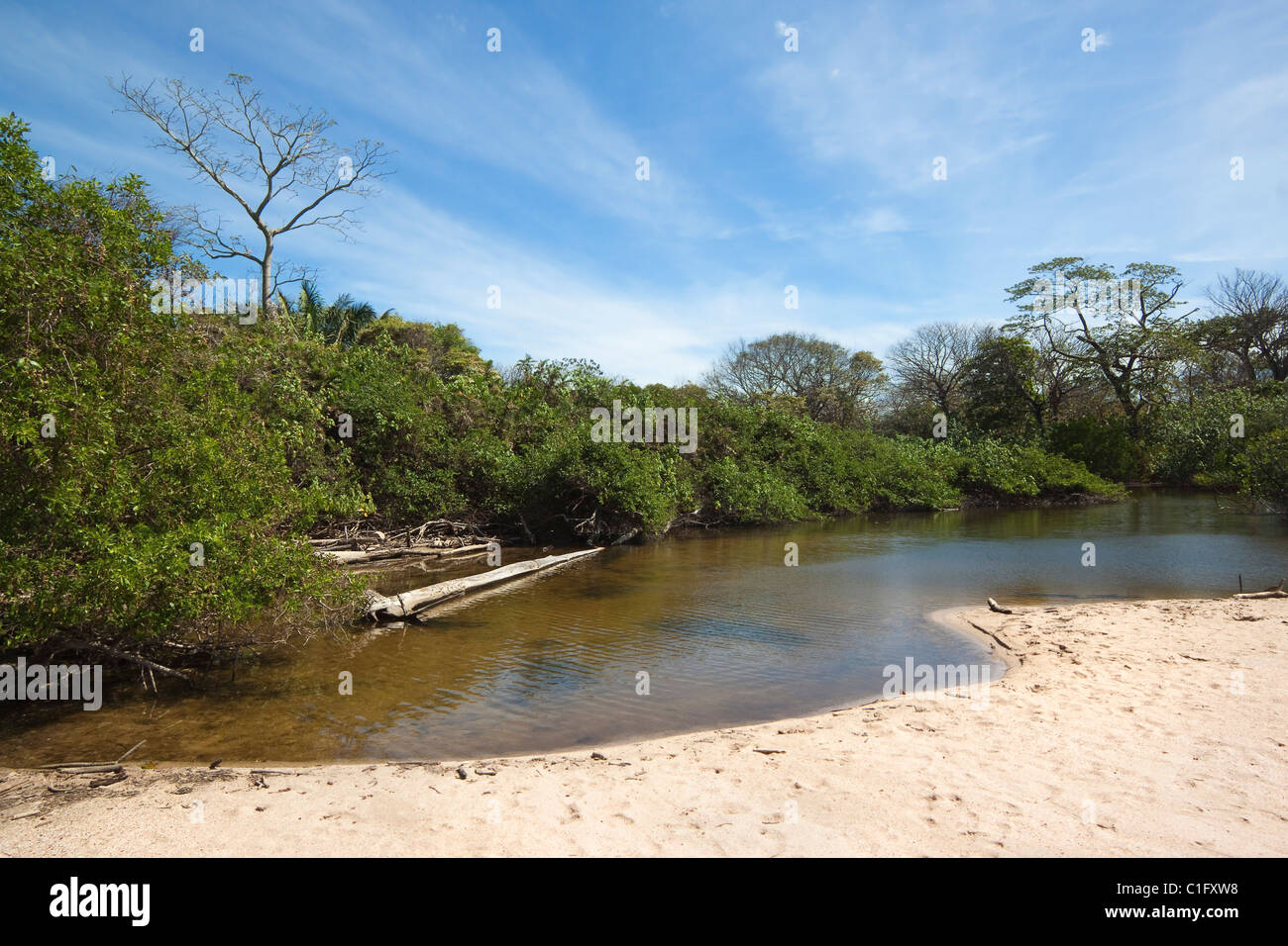 La bouche de la rivière durant la saison sèche à Playa Pelada, la plus tranquille des plages de surf populaire ; ce village de Nosara, Costa Rica Banque D'Images