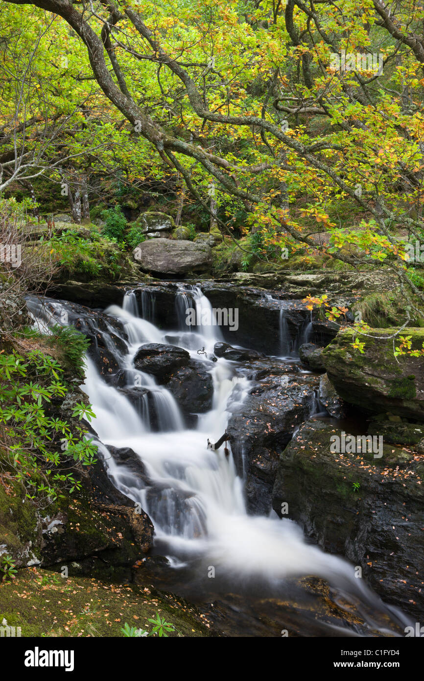 Sur l'eau près de la chute d'Arklet Inversnaid, Loch Lomond et les Trossachs National Park, Stirling, Ecosse. Banque D'Images