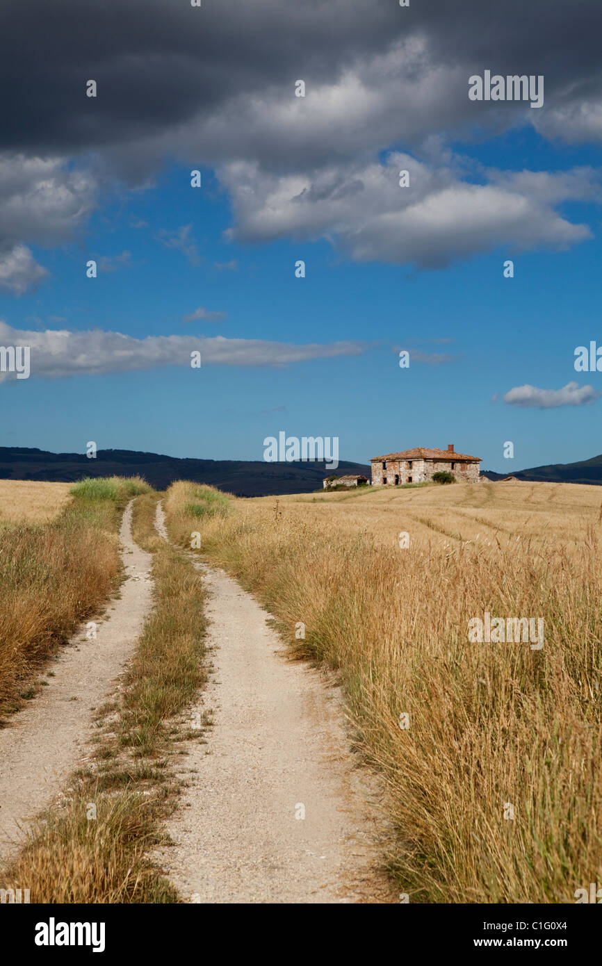 Ferme abandonnée entre les domaines de Val d'Orcia, dans la province de Sienne, Toscane, Italie Banque D'Images