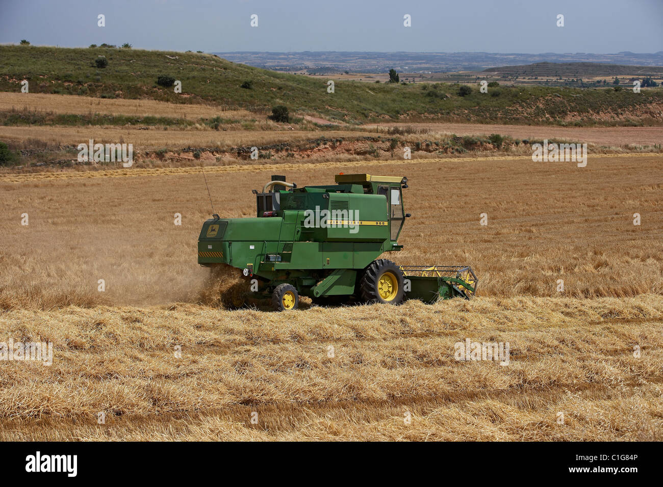Moissonneuse-batteuse, sur champ de blé. Les machines agricoles Banque D'Images