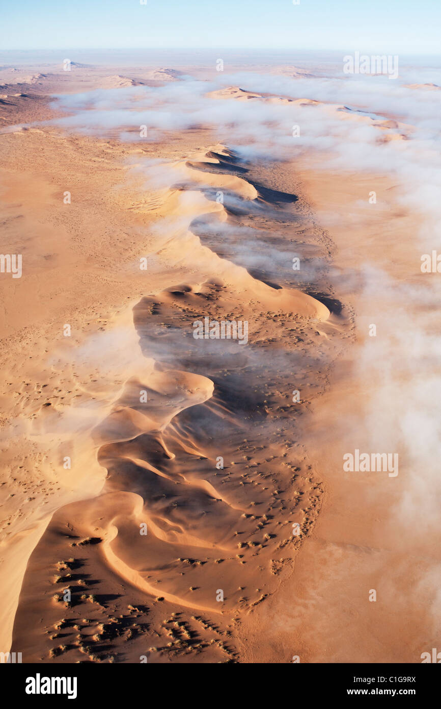 Vue aérienne de dunes de sable du désert de Namibie Banque D'Images