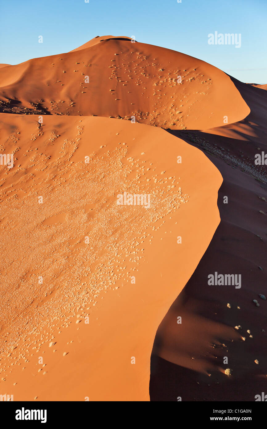 Vue aérienne de dunes de sable rouge de Sossusvlei. Désert du Namib. Namib-Naukluft N.P, Namibie Banque D'Images