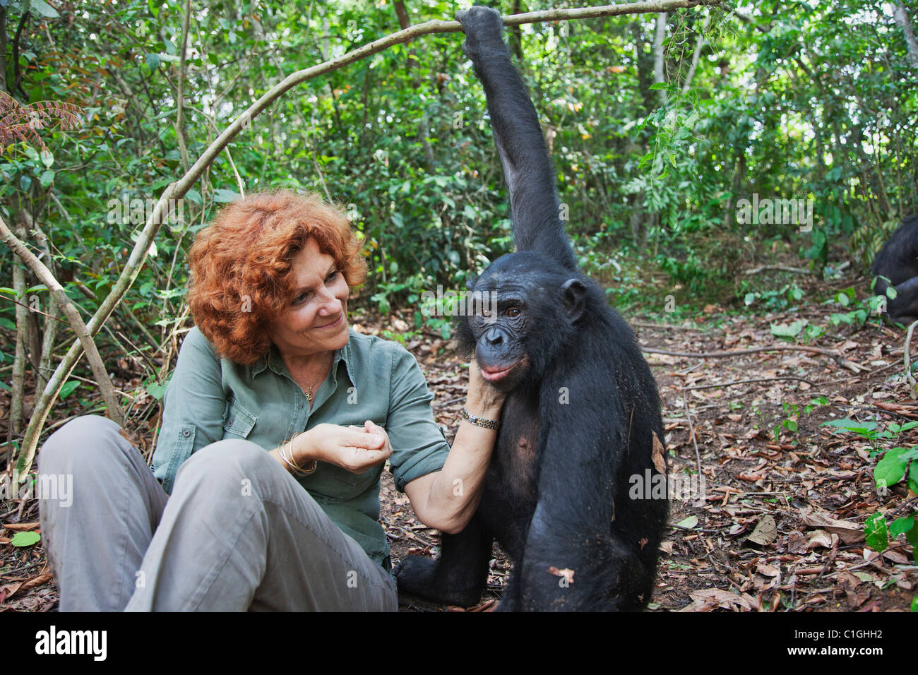 Claudine Andre avec les bonobos. Fondateur du Sanctuaire Lola Ya Bonobo chimpanzé République démocratique du Congo Banque D'Images Claudine Andre avec les bonobos. Fondateur du Sanctuaire Lola Ya Bonobo chimpanzé République démocratique du Congo Banque D'Images
