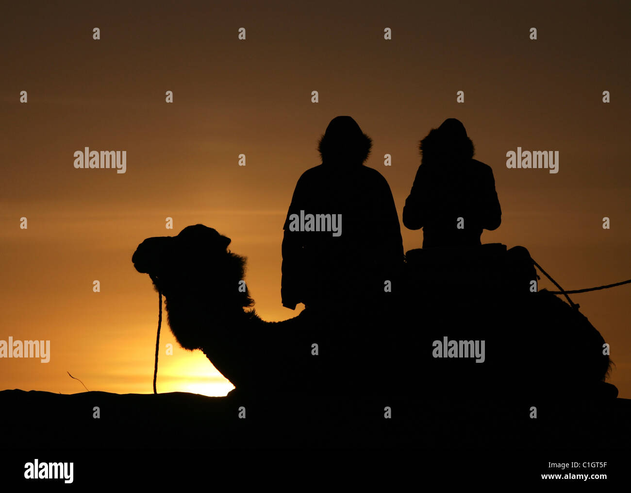 Les touristes voir le soleil se lever sur un chameau en camping, désert du Sahara, l'Erg Chebbi, Maroc. Banque D'Images