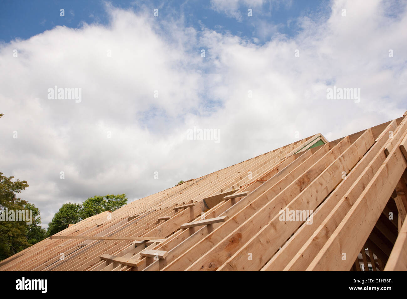 Chevrons de toit d'une maison en construction Banque D'Images