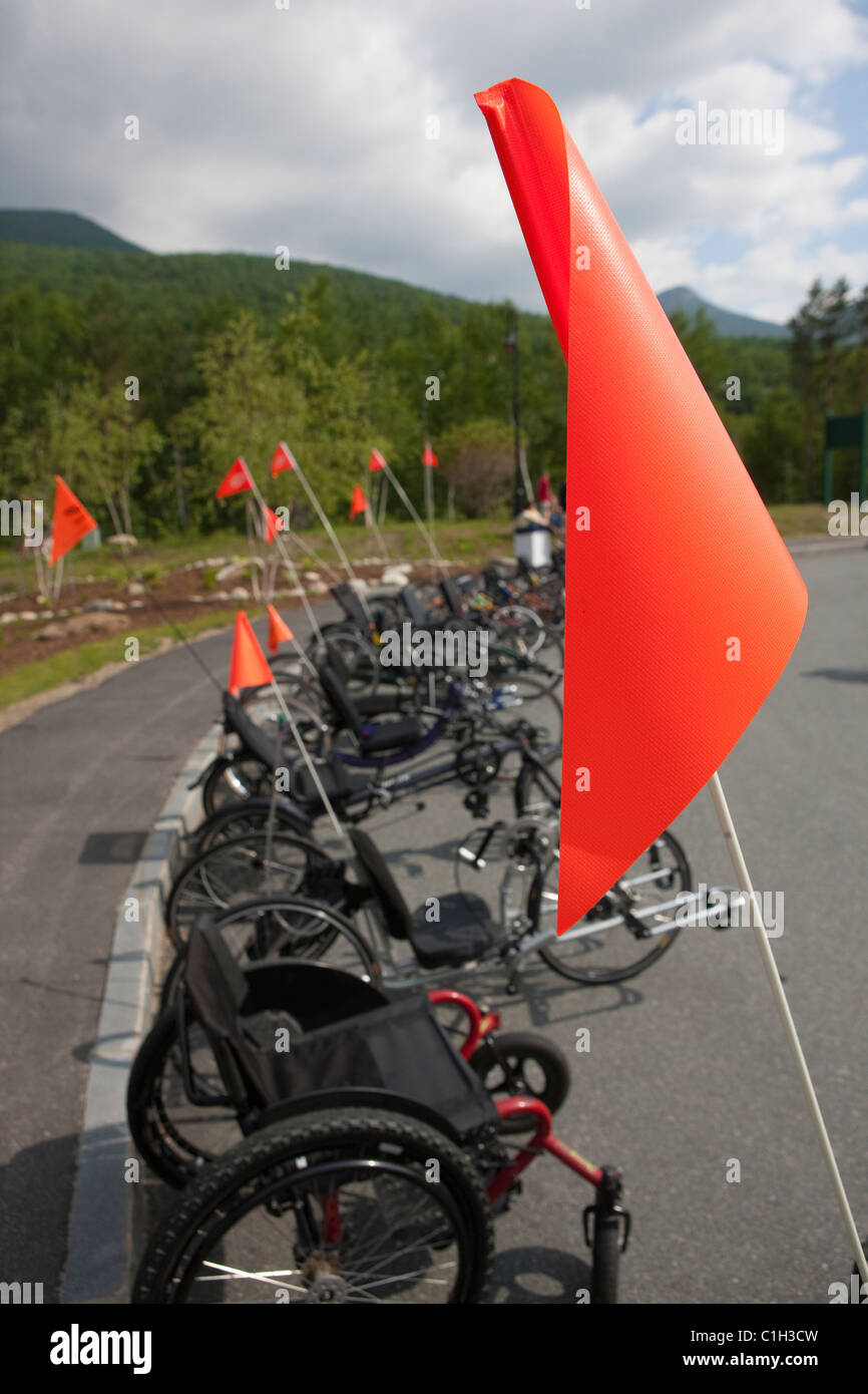 Les vélos de course accessible pour handicapés dans une rangée Banque D'Images