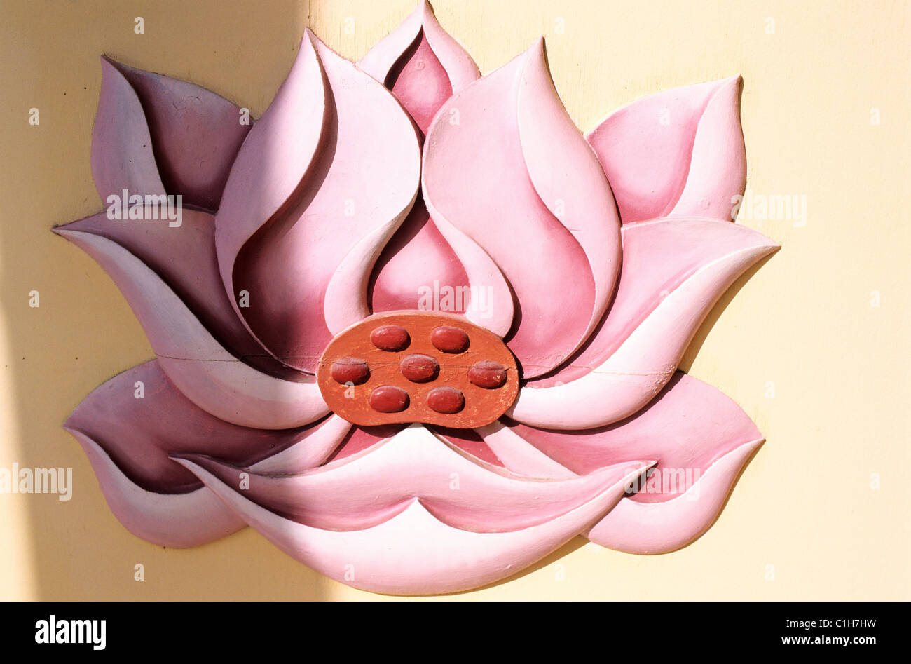 France, Paris, fleur de lotus dans la pagode de Vincennes Banque D'Images