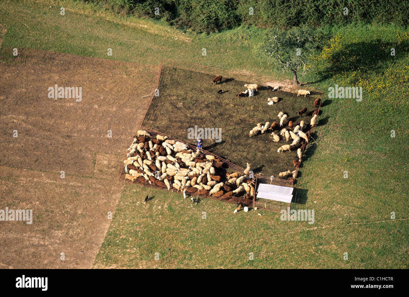 Portugal, Centre du Portugal, la campagne autour de Coimbra (vue aérienne) Banque D'Images