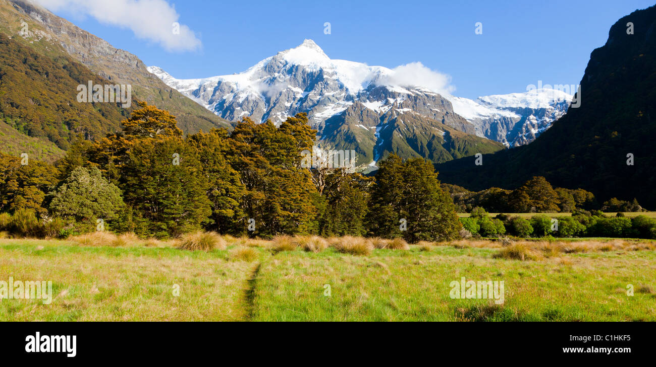 Vallée de la Nouvelle-Zélande Banque D'Images