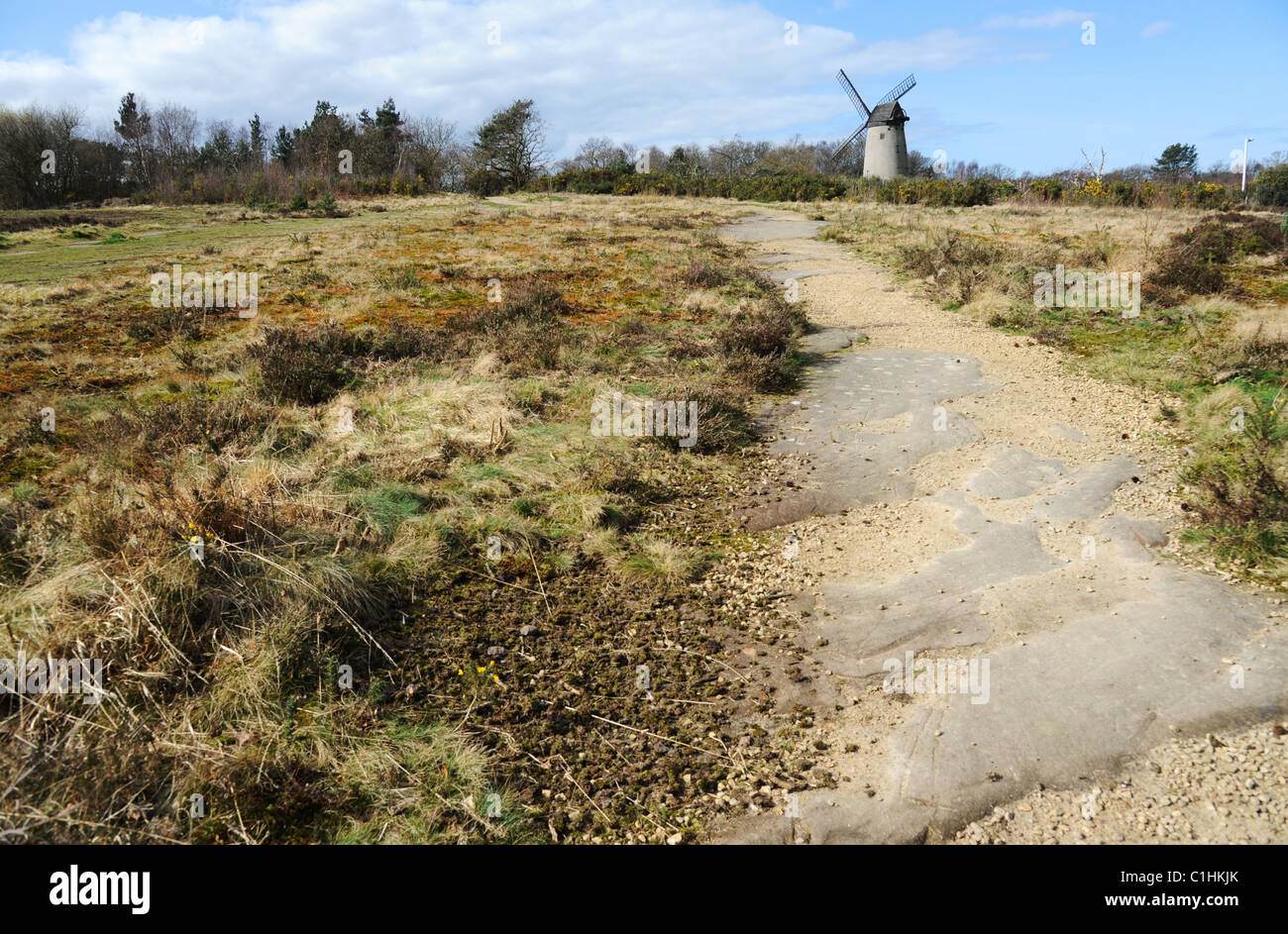 Bidston windmill sur Bidston Hill, Péninsule de Wirral. Banque D'Images