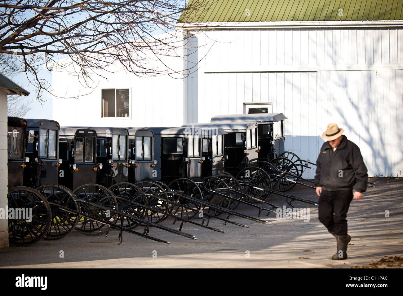 Homme Amish marche dernières cheval stationné à un buggy stable dans Vertou, PA. Banque D'Images