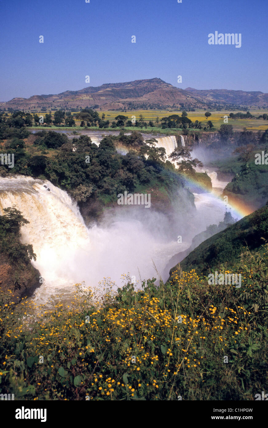 Chutes du Nil Bleu (Tis Abay ou Tis ISAT), l'Ethiopie Banque D'Images