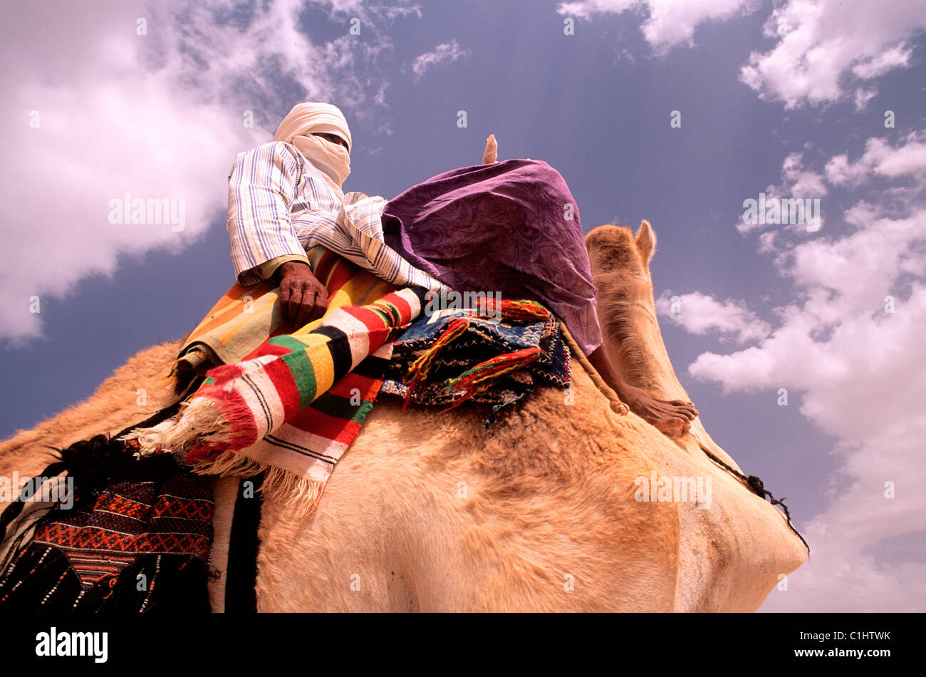 L'Algérie, touareg sur son chameau Banque D'Images