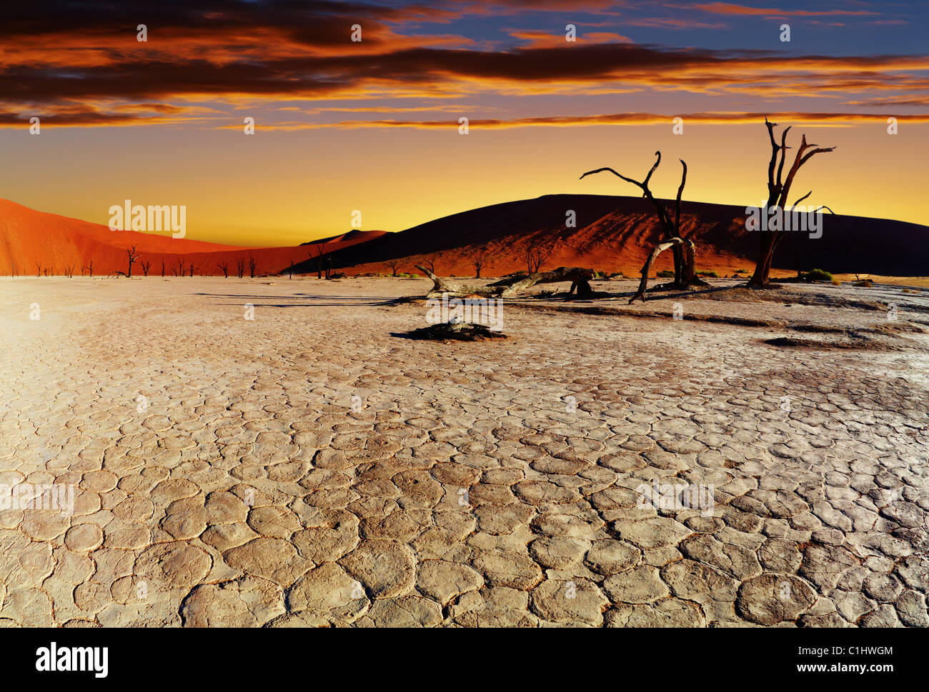 Dead Vlei au coucher du soleil, désert du Namib, Namibie Banque D'Images