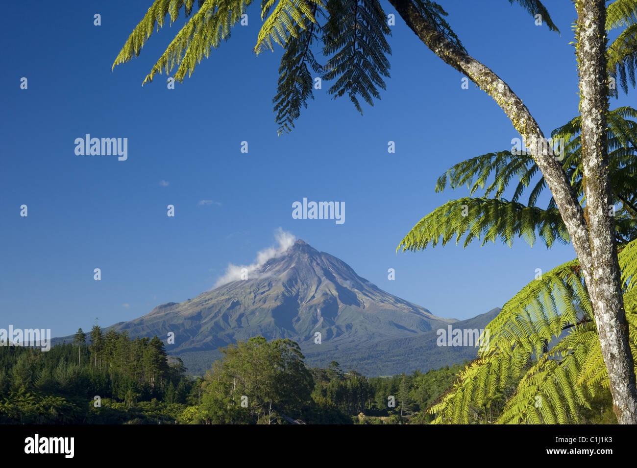 Mont Egmont, Nouvelle-Zélande Banque D'Images