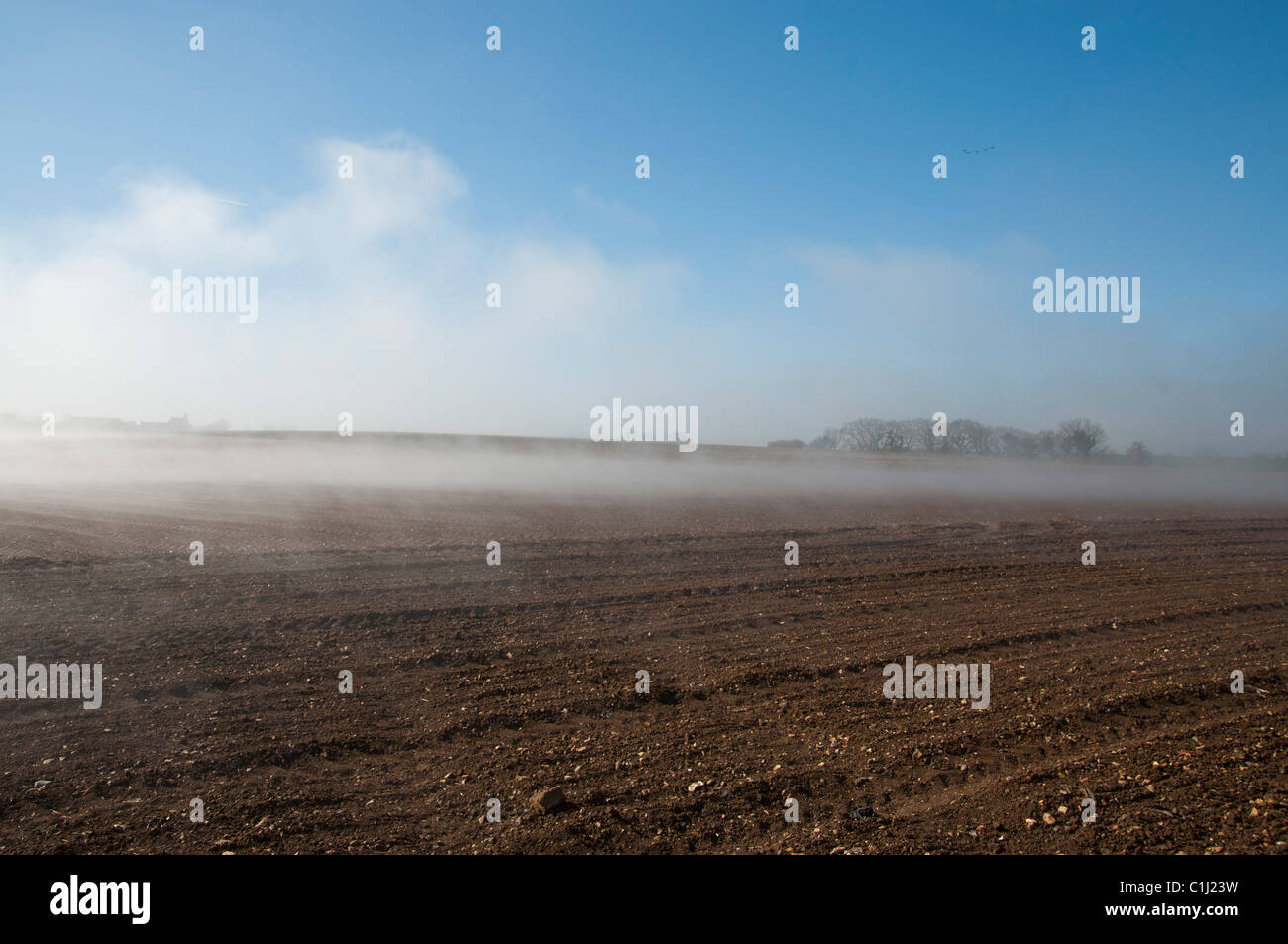 Passant de brouillard tôt le matin champ soleil lumineux burns hors de l'eau du champ labouré Banque D'Images