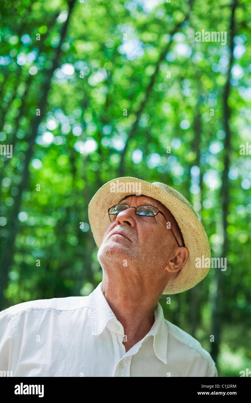 L'homme en forêt, France Banque D'Images
