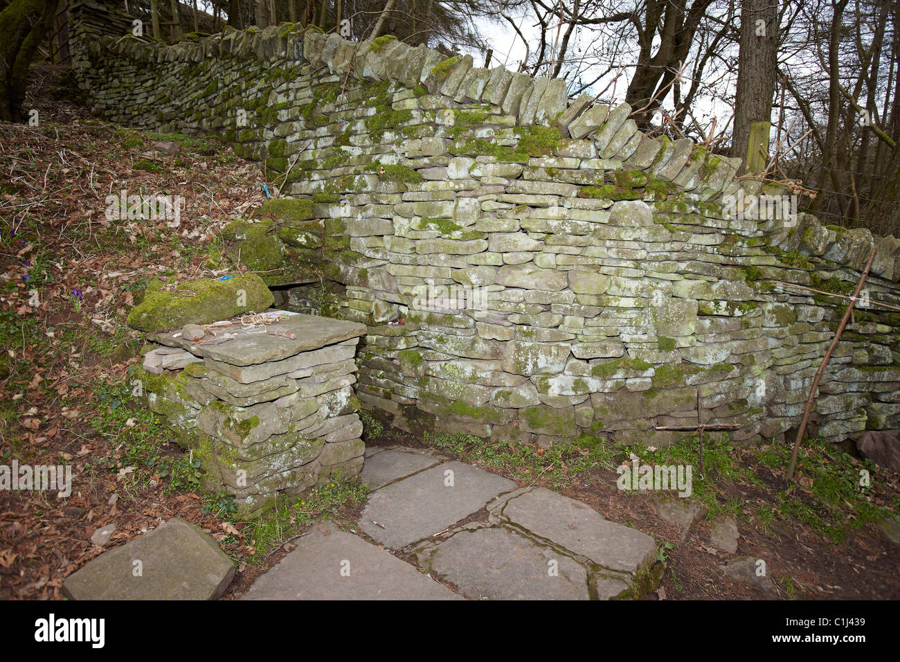 Le puits sacré de St Issui près de l'église de Saint Issui, Partricio Partrishow, Pays de Galles, Royaume-Uni Banque D'Images Le puits sacré de St Issui près de l'église de Saint Issui, Partricio Partrishow, Pays de Galles, Royaume-Uni Banque D'Images