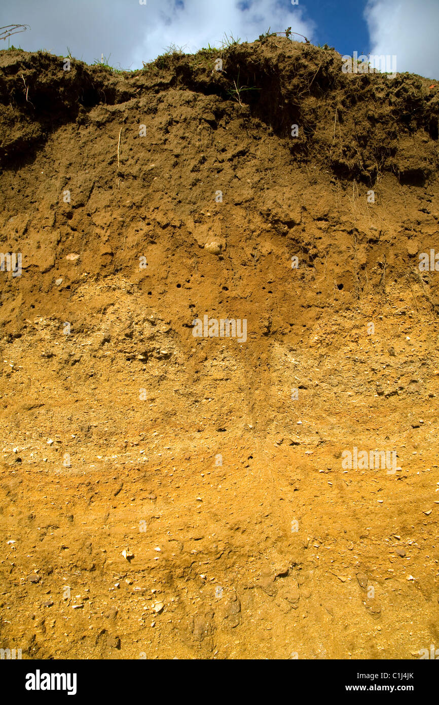 Couches couches Crag rouge roche sédimentaire dans l'ancienne carrière de Suffolk Angleterre Sutton Banque D'Images