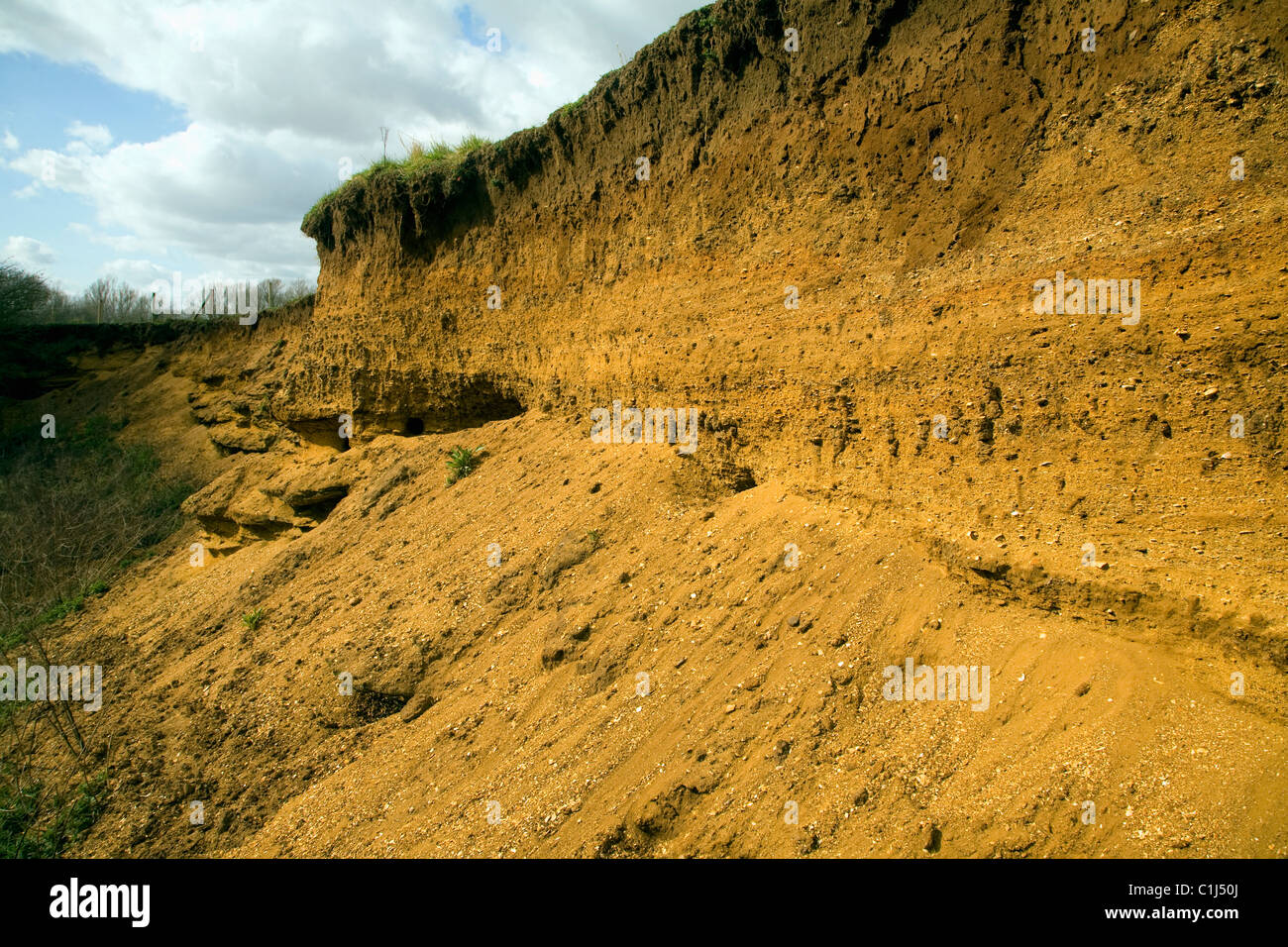 Couches couches Crag rouge roche sédimentaire dans l'ancienne carrière de Suffolk Angleterre Sutton Banque D'Images