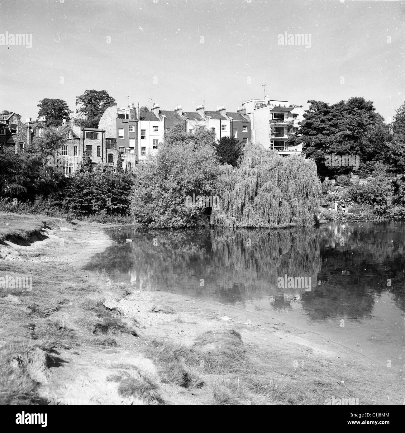 Années 1950, maisons donnant sur un petit lac, Hampstead Heath, nord de Londres. Banque D'Images
