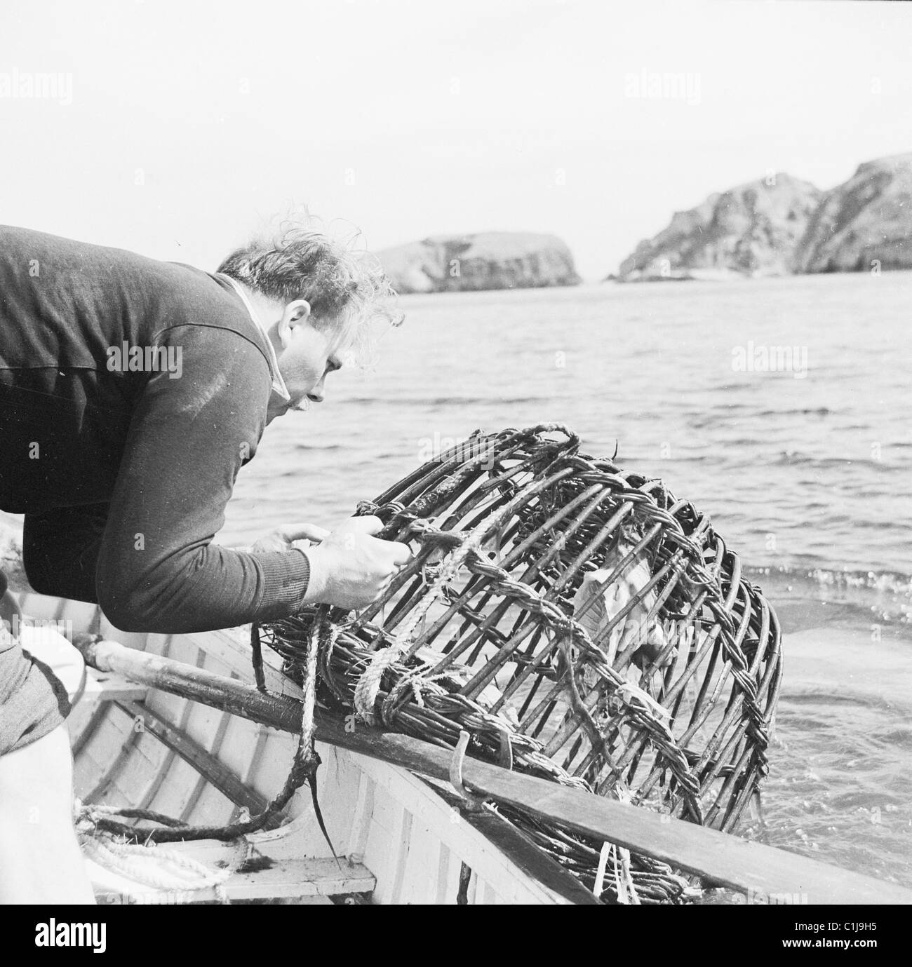 années 1950, historique, au prix, dans la mer, un pêcheur tire un pot de homard en osier de l'eau sur le pont d'un bateau. Banque D'Images