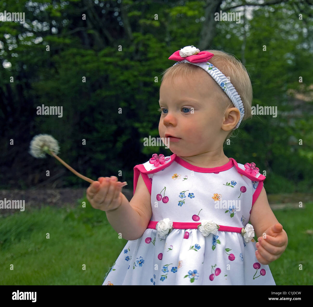 Jolie Blonde Aux Yeux Bleus Aux Cheveux Blancs D Un An Bebe Fille Est A La Recherche De Pres Un Pissenlit Graines A L Exterieur Photo Stock Alamy