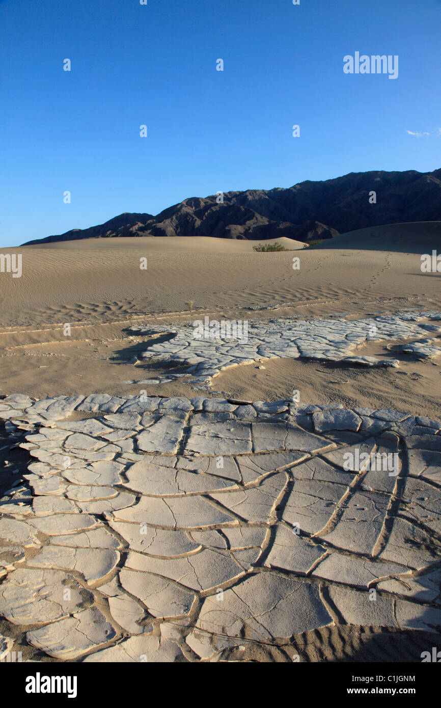 États-unis, Californie, Death Valley, Parc National, Mesquite Flat, gisement de sel, Banque D'Images