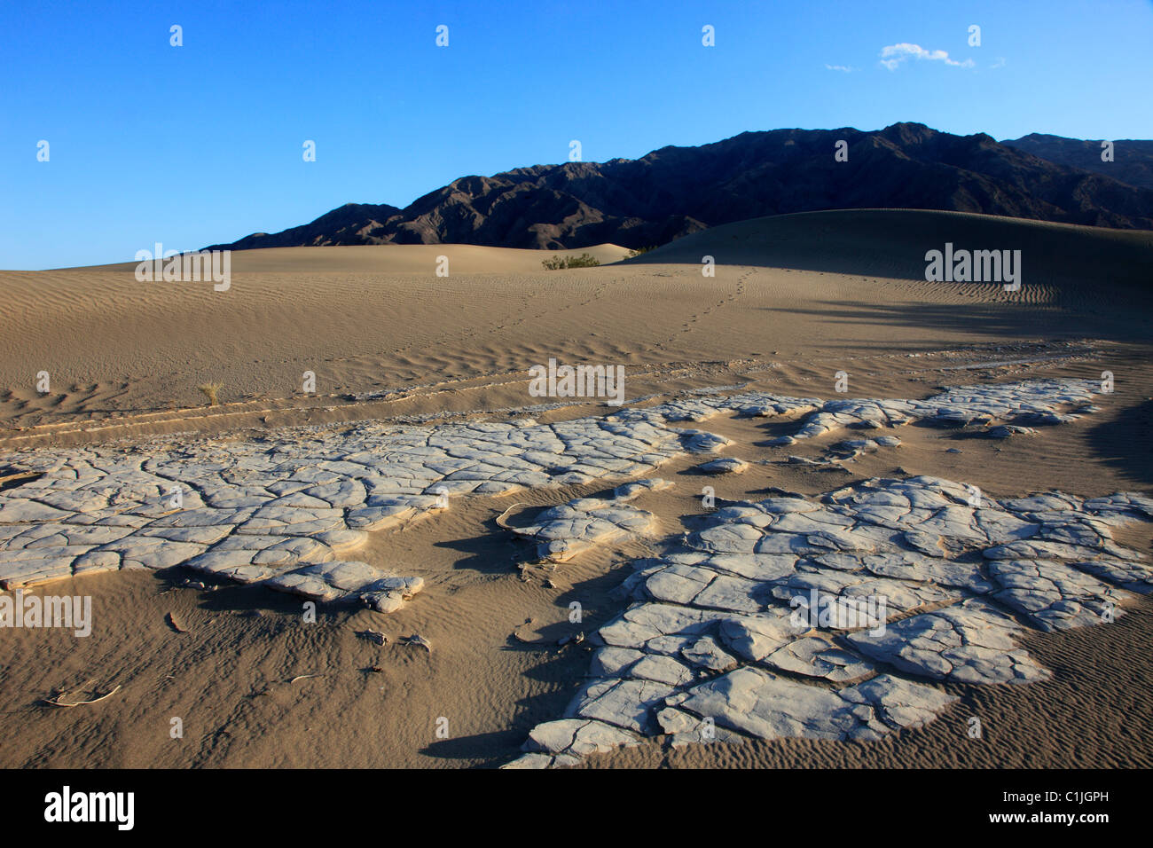États-unis, Californie, Death Valley, Parc National, Mesquite Flat, gisement de sel, Banque D'Images