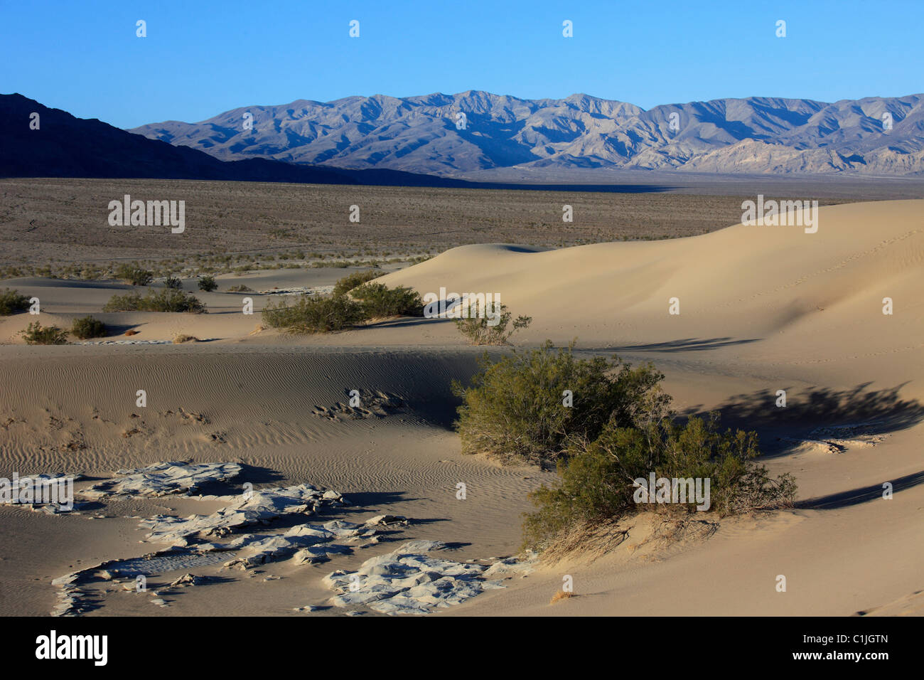 États-unis, Californie, Death Valley, Parc National, Mesquite Flat, dunes de sable, gisement de sel, Banque D'Images