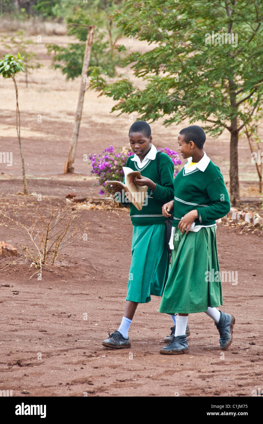 L'École de Karatu en Tanzanie Arusha Banque D'Images