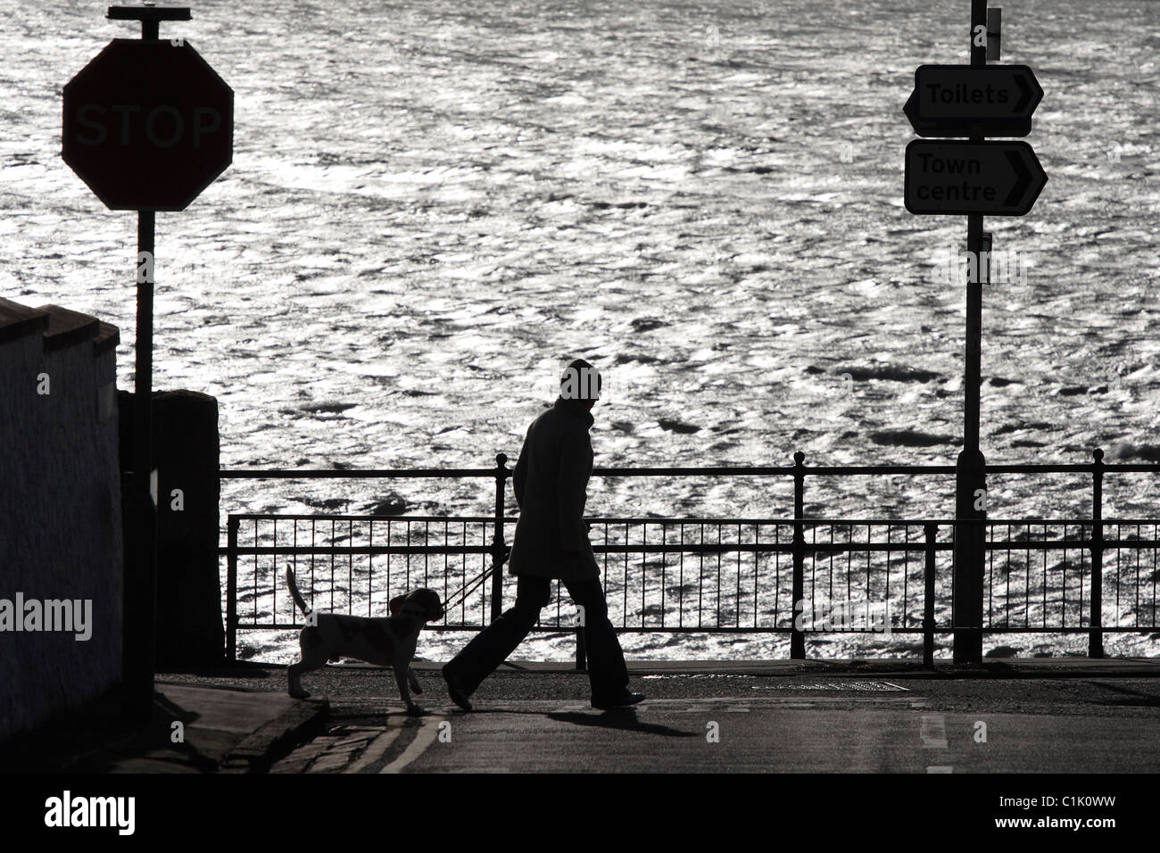 Femme marchant un chien sur Largs Promenade à côté de la rivière Clyde dans le nord Ayrshire, Écosse, Royaume-Uni Banque D'Images