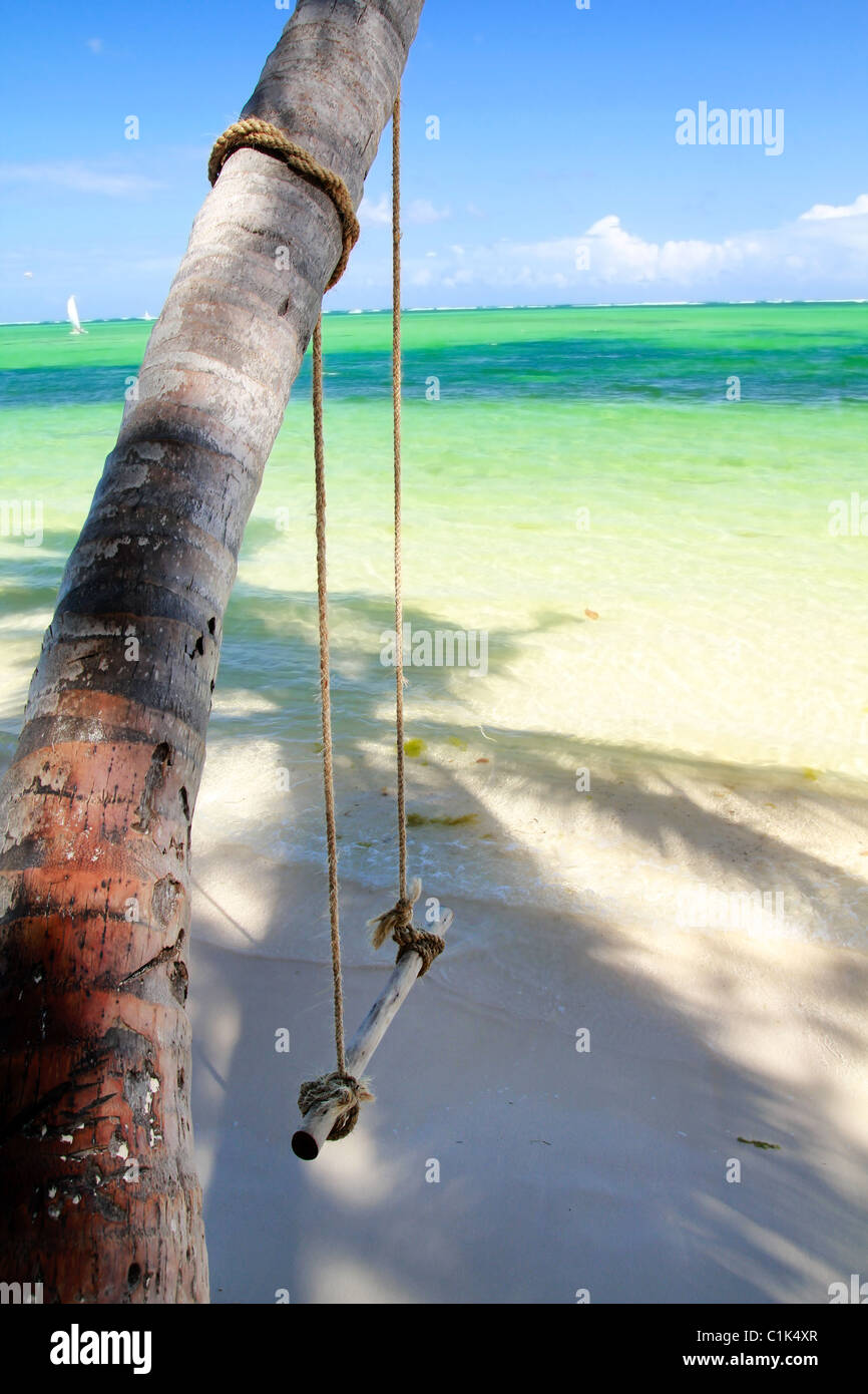 Swing sur palmier près de la mer des Caraïbes Banque D'Images
