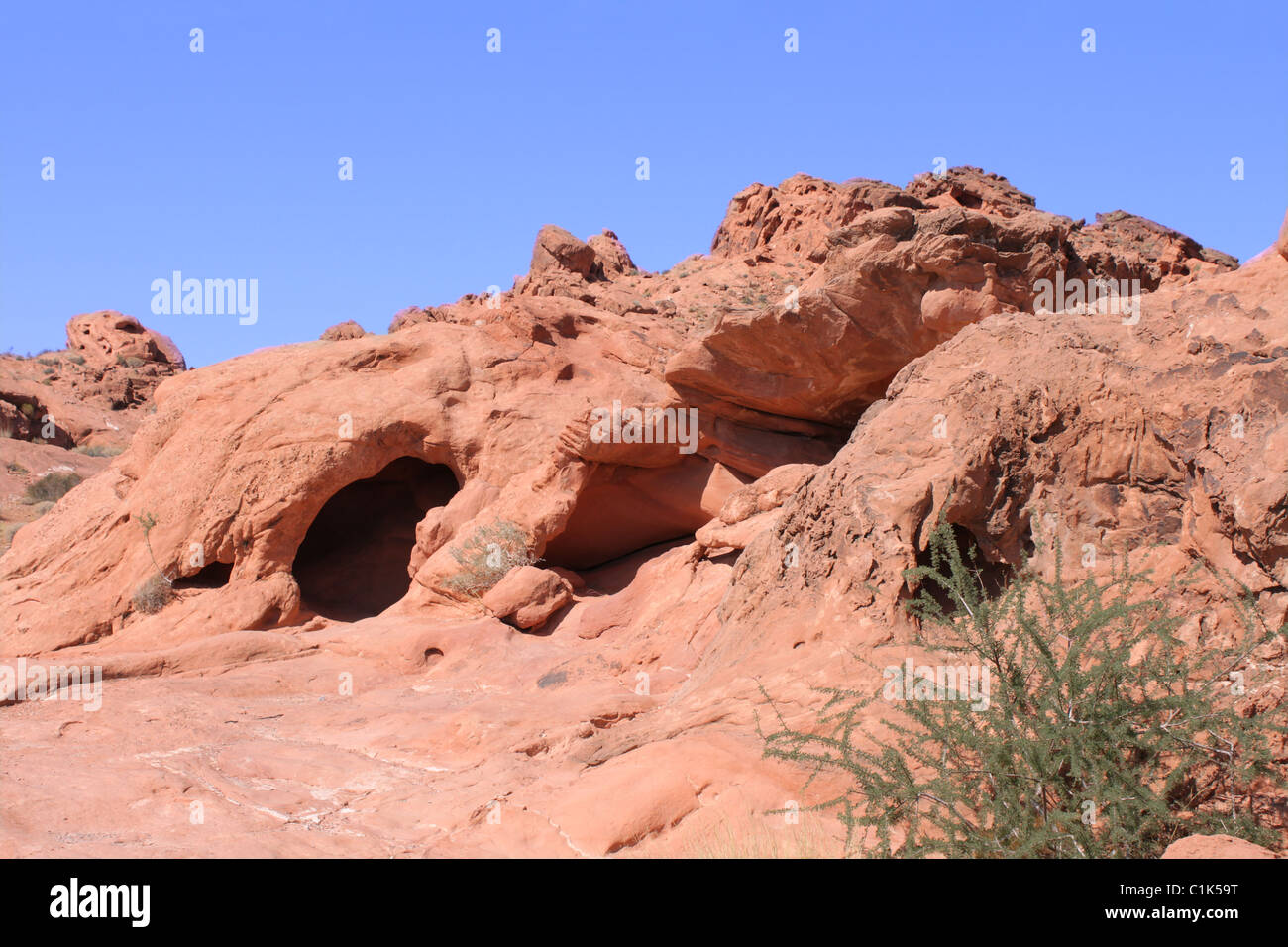 Vallée de Feu Park - Nevada Banque D'Images