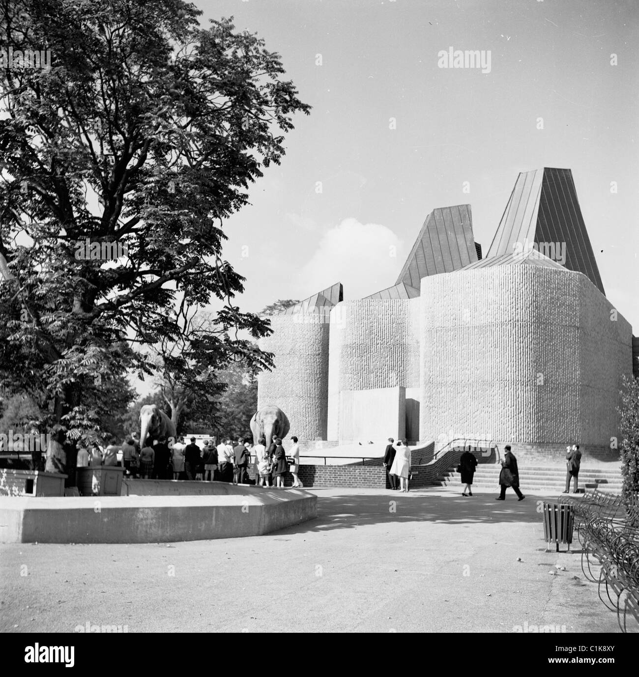 Elephant house zoo Banque d images noir et blanc Alamy