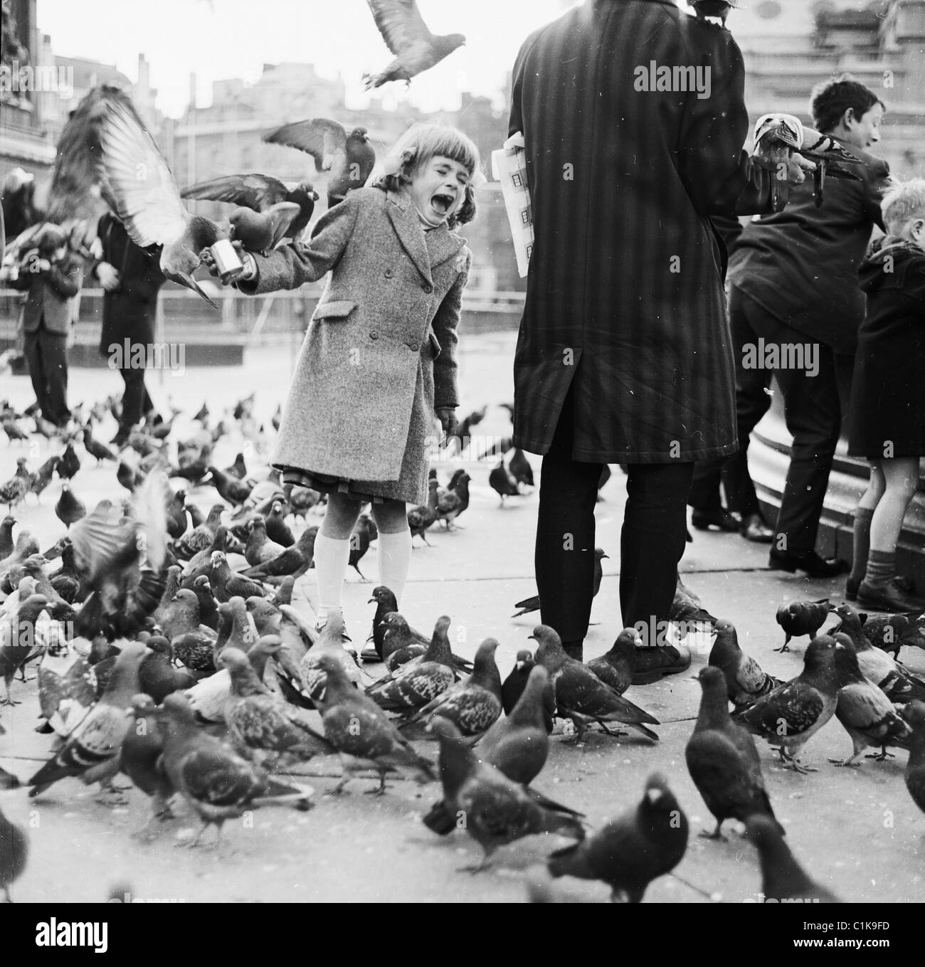 Années 1950. Une jeune fille tenant une boîte de pois hurle de terreur que les pigeons s'asseoir sur son bras et l'entourent à Trafalgar Square, Londres, Angleterre, Royaume-Uni. Banque D'Images