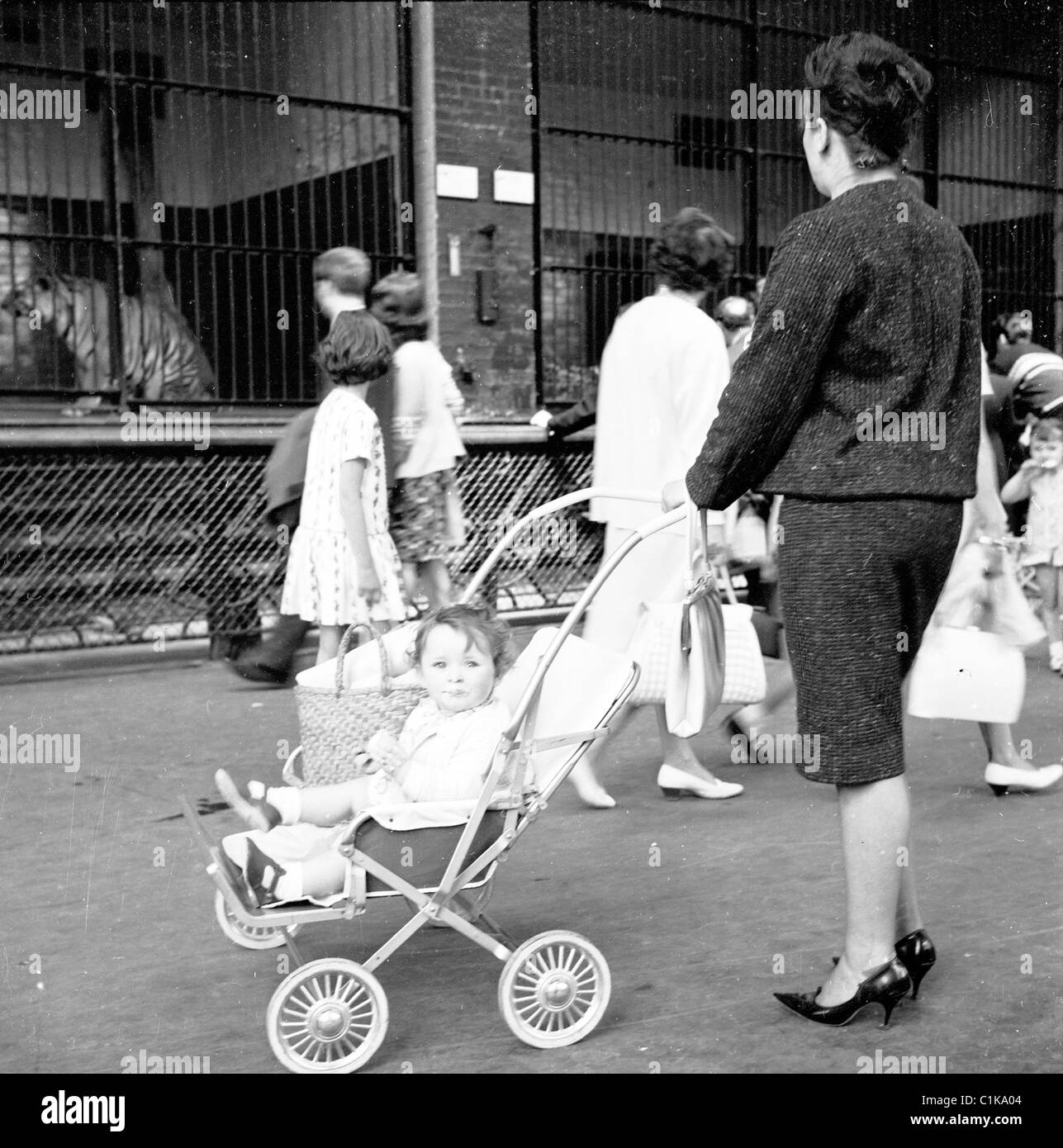 Bien habillé femme avec son enfant dans un landau, regarde les cages à tigres derrière le Zoo de Londres comme vu dans les années 60. Banque D'Images